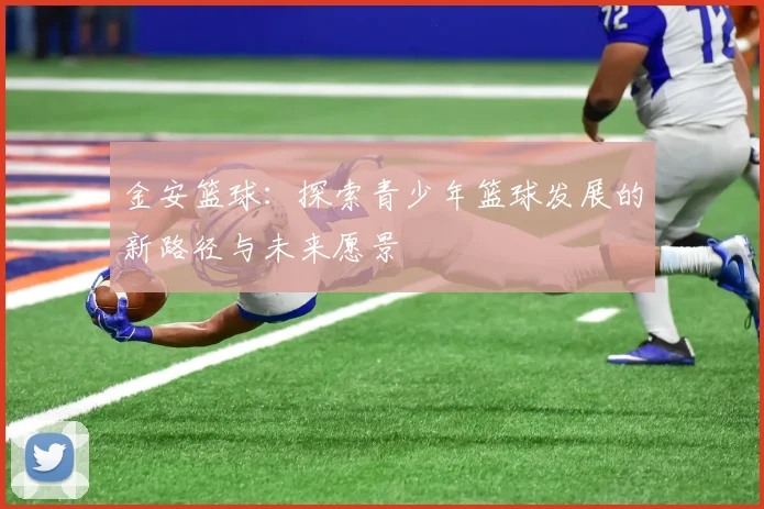 金安篮球：探索青少年篮球发展的新路径与未来愿景