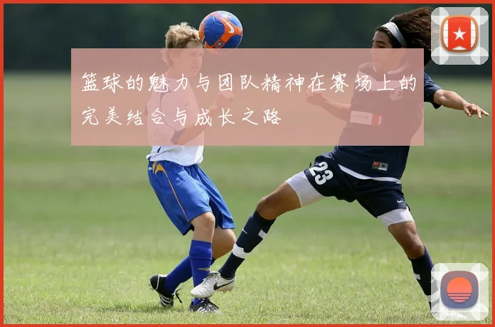 篮球的魅力与团队精神在赛场上的完美结合与成长之路