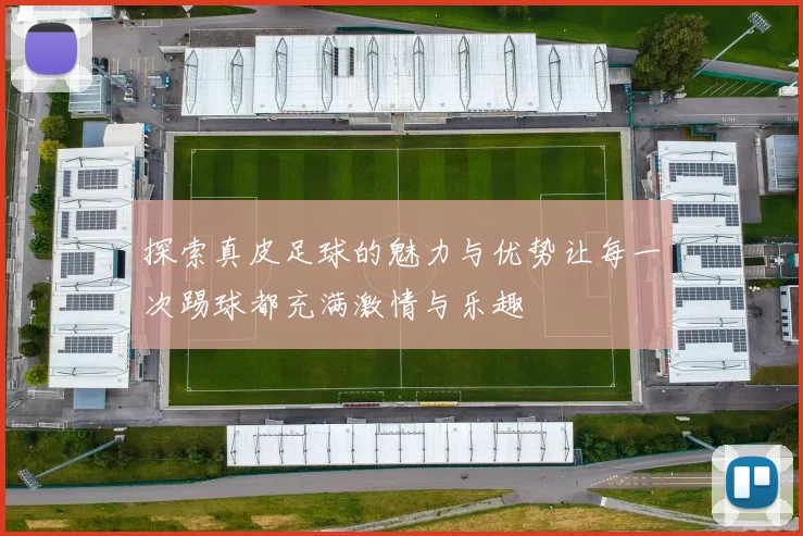探索真皮足球的魅力与优势让每一次踢球都充满激情与乐趣