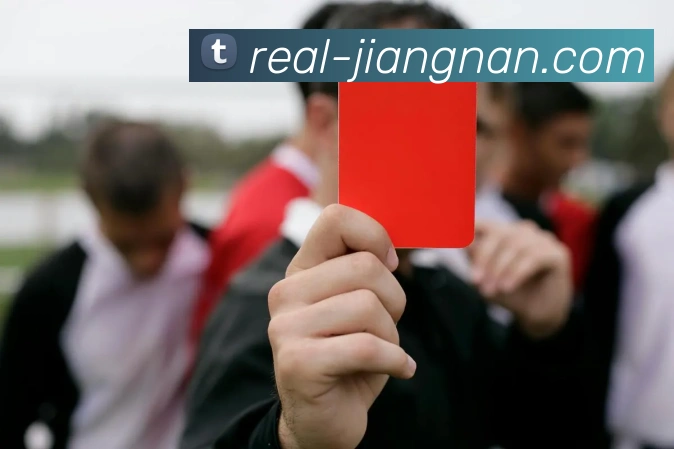 江南体育中文服务体系